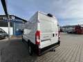Fiat Ducato KASTENWAGEN MAXI 35 L2H2 180 AT Blanc - thumbnail 12