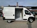 Fiat Ducato KASTENWAGEN MAXI 35 L2H2 180 AT Blanc - thumbnail 3