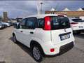 Fiat New Panda 1.0 FireFly Hybrid Blanco - thumbnail 2
