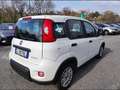 Fiat New Panda 1.0 FireFly Hybrid Blanco - thumbnail 3