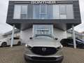Mazda CX-30 2.5L e-SKYACTIV G 140ps Nagisa,sofort Silber - thumbnail 1