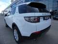 Land Rover Discovery Sport 2.0SD4 HSE 4x4 Aut. 240 Blanco - thumbnail 5