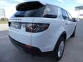 Land Rover Discovery Sport 2.0SD4 HSE 4x4 Aut. 240 Blanco - thumbnail 10