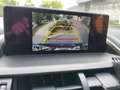 Lexus NX 300h Business Line - thumbnail 7