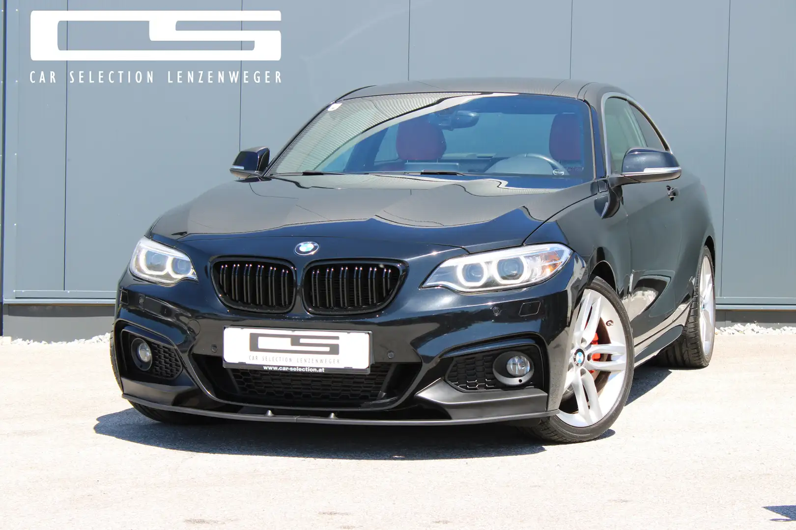BMW 228 M Sport *Navi*Leder*Harman Kardon*Performance Black - 1