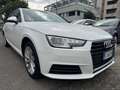 Audi A4 Avant 2.0 TDI 150 CV S TRONIC DESIGN Bianco - thumbnail 3