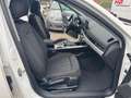 Audi A4 Avant 2.0 TDI 150 CV S TRONIC DESIGN Bianco - thumbnail 14
