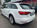 Audi A4 Avant 2.0 TDI 150 CV S TRONIC DESIGN Bianco - thumbnail 7