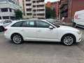 Audi A4 Avant 2.0 TDI 150 CV S TRONIC DESIGN Bianco - thumbnail 5