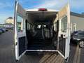 Fiat Ducato Hochr.  33 140 L2H2 3450 mm 9SITZER Blanc - thumbnail 9