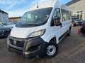 Fiat Ducato Hochr.  33 140 L2H2 3450 mm 9SITZER Blanc - thumbnail 3