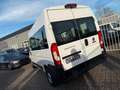 Fiat Ducato Hochr.  33 140 L2H2 3450 mm 9SITZER Blanc - thumbnail 10