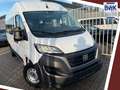Fiat Ducato Hochr.  33 140 L2H2 3450 mm 9SITZER Blanc - thumbnail 1