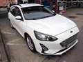 Ford Focus Turnier 1.5D Trend Klima/LED/DAB/SHA Weiß - thumbnail 10