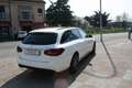 Mercedes-Benz C 220 d S.W. 4Matic Auto Sport Plus Bianco - thumbnail 5