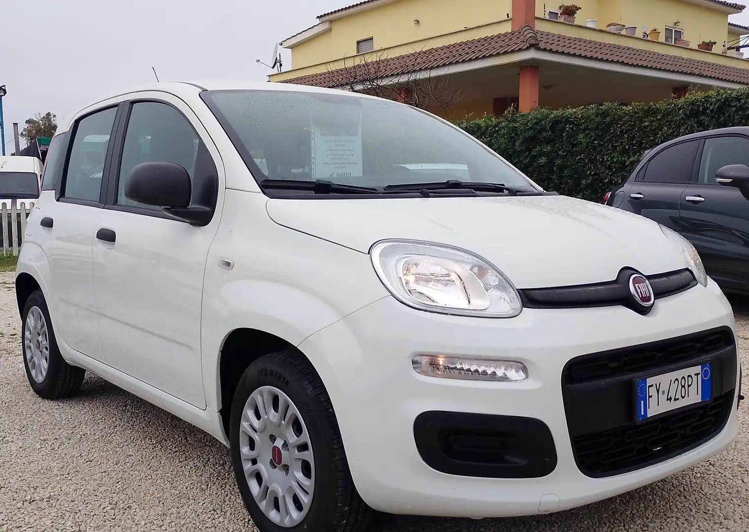 Fiat Panda Panda 1.2 Easy s Weiß - 2