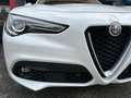 Alfa Romeo Stelvio Stelvio 2.2 t Super Q4 210cv auto my19 Bianco - thumbnail 9