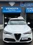Alfa Romeo Stelvio Stelvio 2.2 t Super Q4 210cv auto my19 Bianco - thumbnail 5