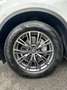 Alfa Romeo Stelvio Stelvio 2.2 t Super Q4 210cv auto my19 Bianco - thumbnail 7