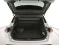 Nissan Qashqai Qashqai 1.3 mhev N-Connecta 2wd 140cv Bianco - thumbnail 11