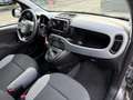 Fiat Panda 0.9 TwinAir Turbo S&S 4x4 City Cross Gris - thumbnail 15