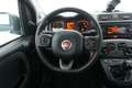 Fiat Panda Hybrid City Life 1.0 Mild Hybrid 70CV Blu/Azzurro - thumbnail 11