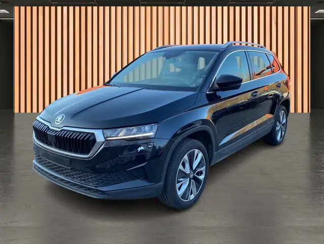 Skoda Karoq view 2
