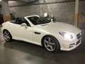 Mercedes-Benz SLK 200 SLK 200 BlueEFFICIENCY 7G-TRONIC Edition 1 Blanc - thumbnail 7