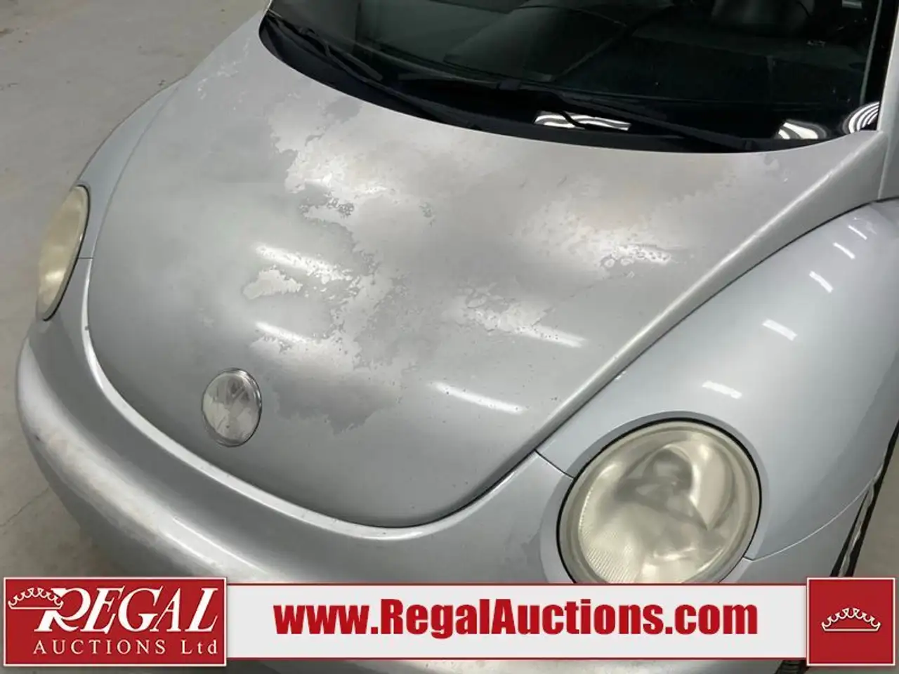 Volkswagen Beetle снимка Volkswagen Beetle