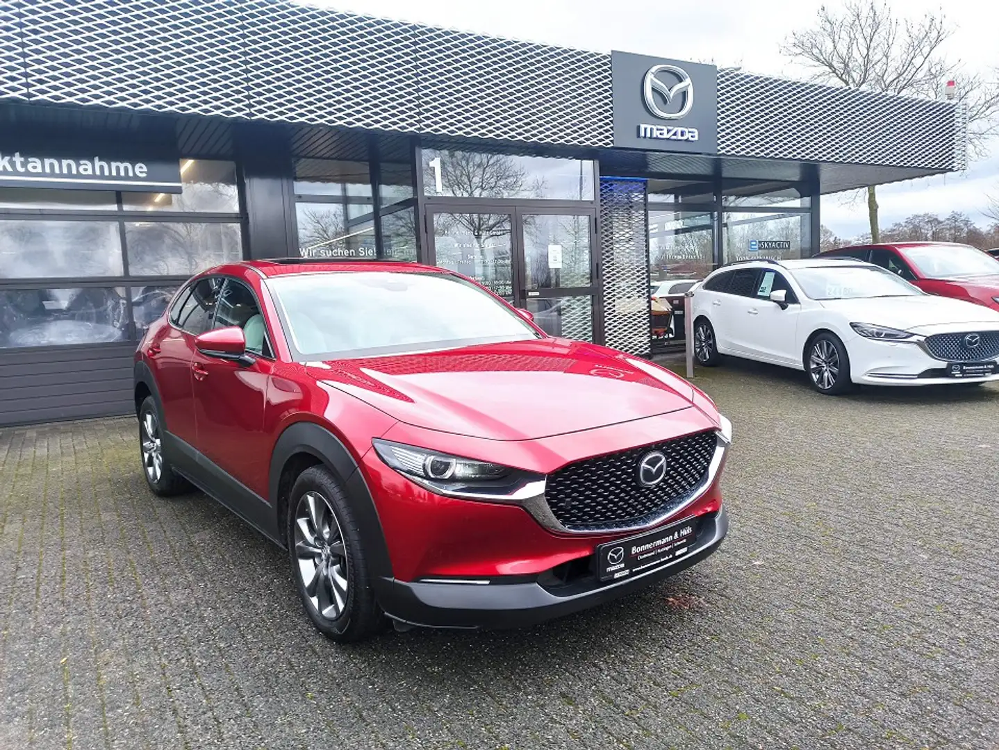 Mazda CX-30 2.0 AWD Selection ACT-P DES-P LEDER WHITE 360°*Mat Rouge - 1