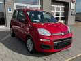 Fiat Panda Pandina Rot - thumbnail 1