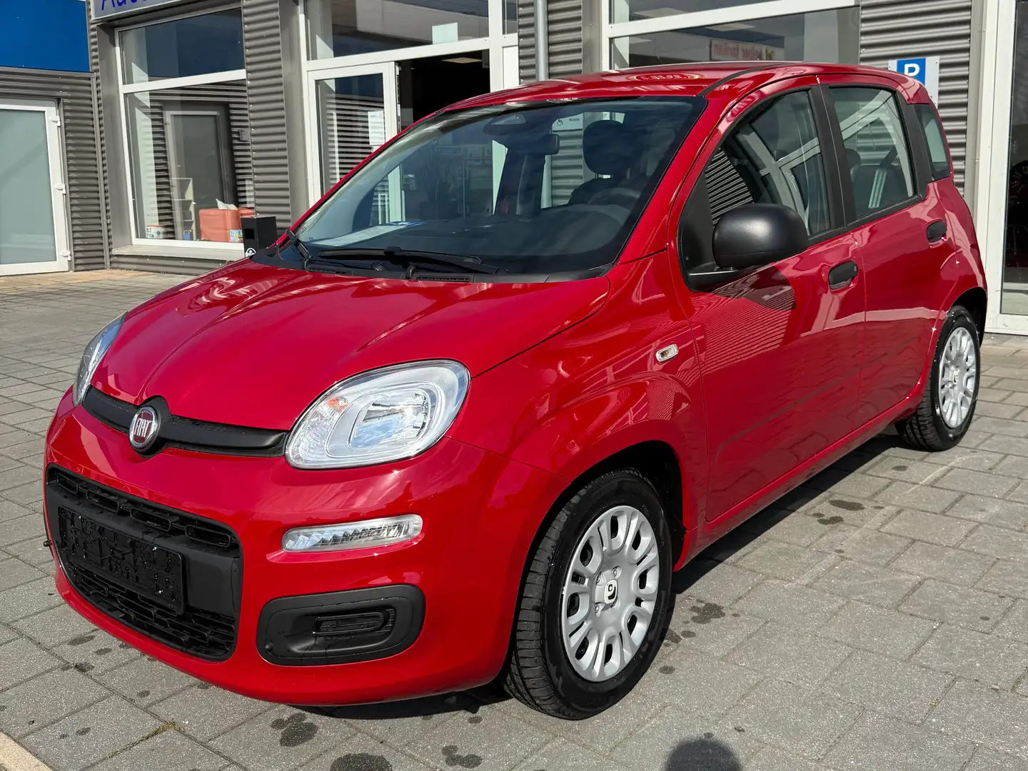 Fiat Panda Pandina Rot - 2