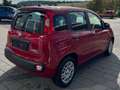 Fiat Panda Pandina Rot - thumbnail 4