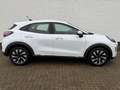 Ford Puma Hybrid*Klima*LED*wenig KM*GJR* Weiß - thumbnail 3