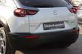 Mazda MX-30 GTE+ Head Up Display *Lenkradheizung* Abstandstemp Grau - thumbnail 9