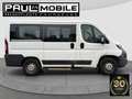 Peugeot Boxer 330 L1H1 ActiveBlueHDi 110 9- Sitzer 1.Hand Weiß - thumbnail 7