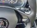 Skoda Octavia Combi Clever 2.0 TDI LED Kamera Apple CarPlay Andr Grigio - thumbnail 22