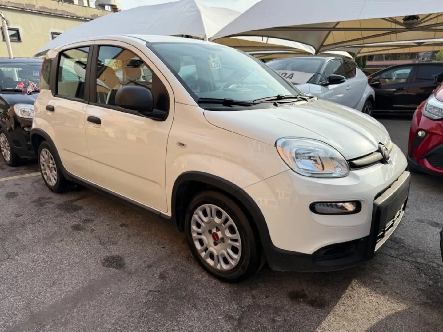 Fiat Panda 1.0 FireFly S&S Hybrid+GPL Weiß - 1