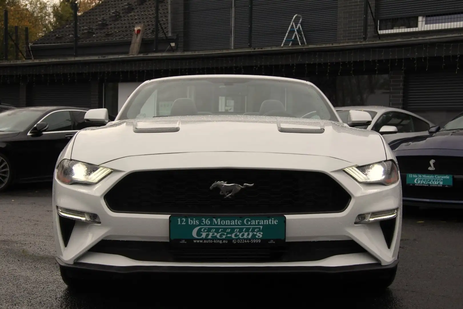 Ford Mustang 2.3 Cabrio|Voll|Navi|SHZ|Keyles|10Gang Blanc - 2