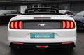 Ford Mustang 2.3 Cabrio|Voll|Navi|SHZ|Keyles|10Gang Fehér - thumbnail 6