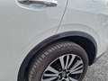 Renault Koleos 2.0 dCi 4WD Initiale Paris X-Tronic Білий - thumbnail 10