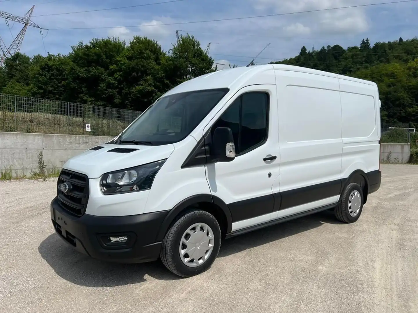 Ford Transit 310 2.0TDCi EcoBlue 130CV aut. PM-TM Furgone Trend Bianco - 1