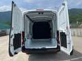 Ford Transit 310 2.0TDCi EcoBlue 130CV aut. PM-TM Furgone Trend Bianco - thumbnail 14