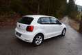 Volkswagen Polo Trendline mit  pickerl Weiß - thumbnail 5