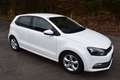 Volkswagen Polo Trendline mit  pickerl Weiß - thumbnail 4