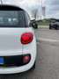 Fiat 500L 1.3 Multijet 85 CV Pop Star Grigio - thumbnail 6