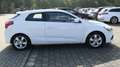 Kia Ceed / cee'd / ProCeed/R-Cam/8xAlu Alb - thumbnail 6