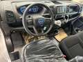 Fiat Ducato * 140 CV * KM 0 * 02/2024 * Blanco - thumbnail 8