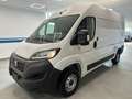 Fiat Ducato * 140 CV * KM 0 * 02/2024 * Blanco - thumbnail 1
