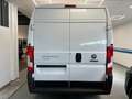 Fiat Ducato * 140 CV * KM 0 * 02/2024 * Blanco - thumbnail 4